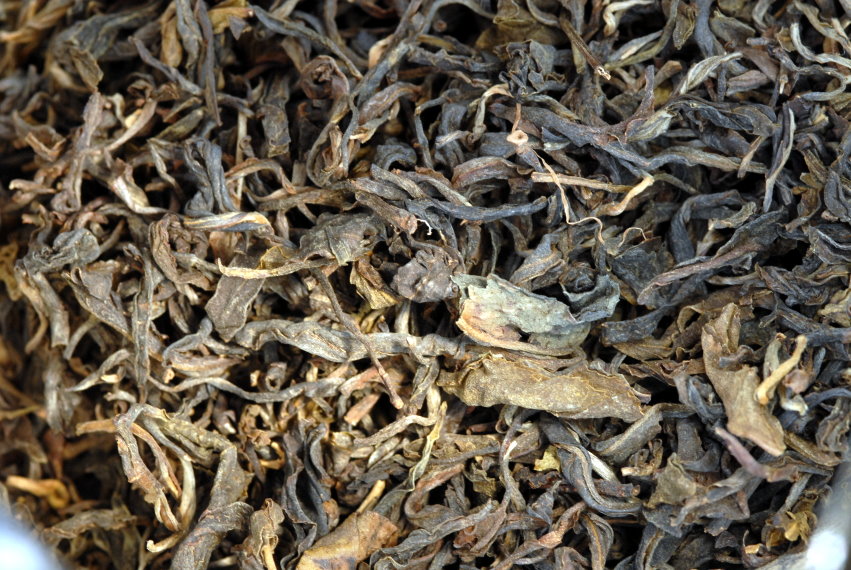 gu shu sheng puerh tea